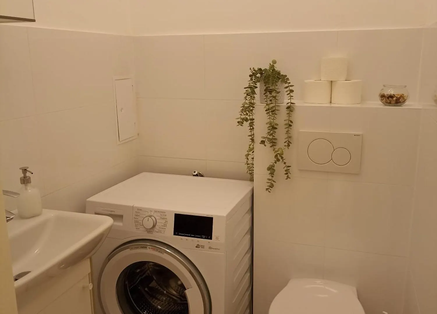 Hotel 170Sqm With Private Garden à Vienne